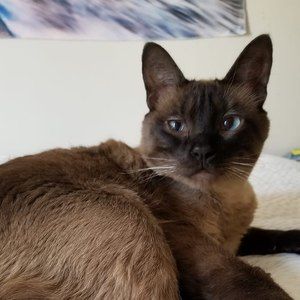 Meet your Posher, Sue